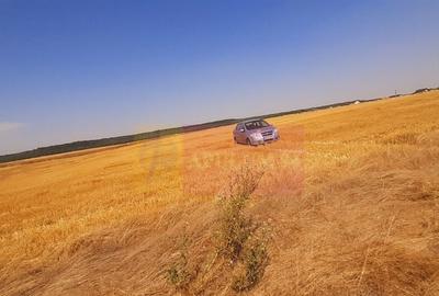 Teren pentru casa/case in Brane?ti pe strada Topora?i - 25