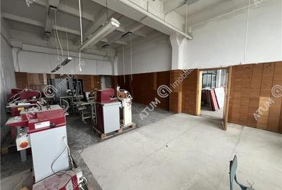 Hala industriala compartimentata in 5 spatii situat in zona Centrala - 11