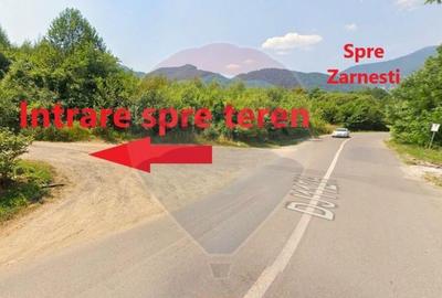 Teren 4,223mp Zarnesti - Tohanita - 20
