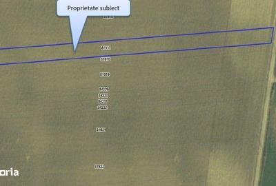 Teren de 5000 mp, în Lunca - 8