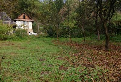 Teren de 11650 mp, în Valea Borcutului - 3