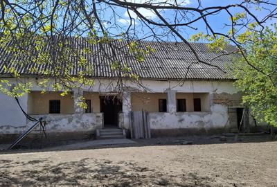 Casă individuală cu 3 camere cu Teren 1472 Mp în Nădlac - 3