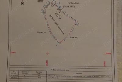 Casă cu Teren 8500 Mp în Podu Turcului - 2