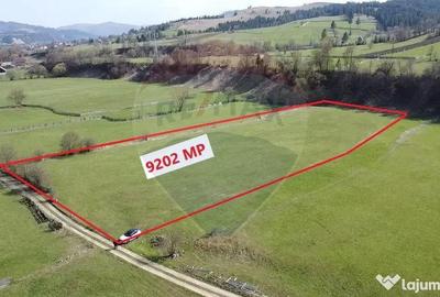 Teren de 9202 mp, în Mănăstirea Humorului - 12