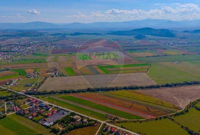 Teren intravilan 10,000 mp Bod