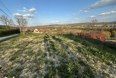 Teren de 736 mp, în Central - 10