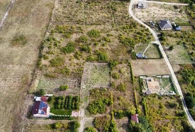 Teren de 550 mp, în Vișani - 2