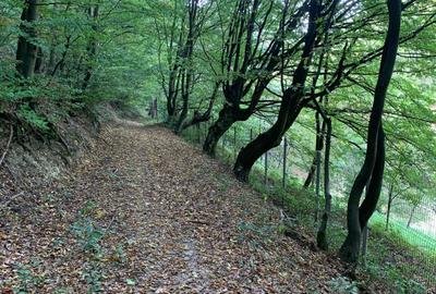 Vila Exclusivista Vetel  pe valea Caoiului - 15