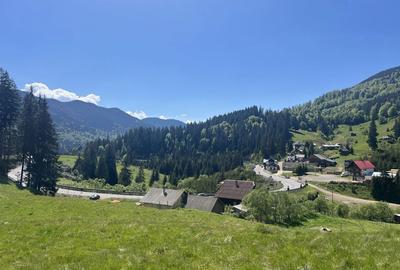 Spațiu comercial, în Piatra - 4