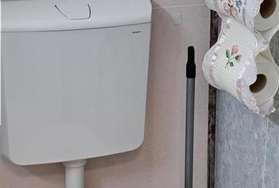 Garsoniera cocheta proaspat renovata in bloc mixt BRANCOVEANU - 21