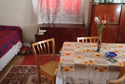 Casă cu 3 camere cu Teren 2000 Mp în Tisa - 7