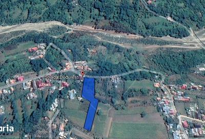 Teren de 4733 mp, în Drajna - 5