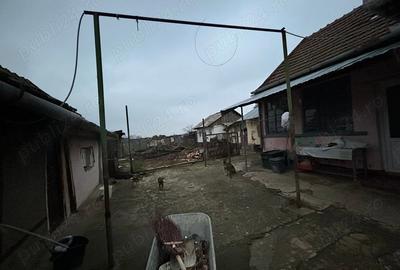Casă cu 3 camere cu Teren 2241 Mp în Sânnicolau Român - 8