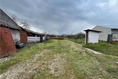 RECO Casa cu spatiu comercial in Biharia - 1