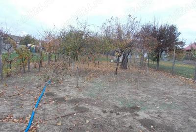 Casă cu 5 camere cu Teren 1670 Mp în Giarmata - 11