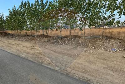 Teren 9400 mp Strada Gura solcii - 10