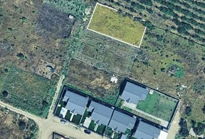 Teren de 804 mp, în Petrești - 8