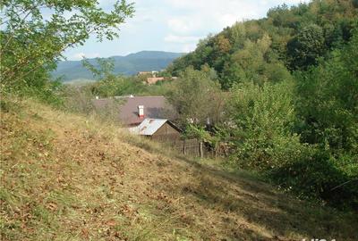 Teren de 1556 mp, în Călimănești - 1