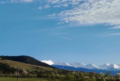 Teren de 6700 mp, în Sântămăria-Orlea - 4