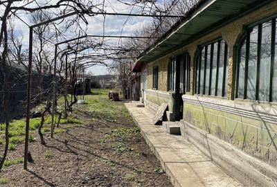 Casă cu 3 camere în Ciolpani - 6