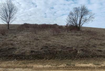 Teren Construcții extravilan de 2282 mp, în Fâșca - 5