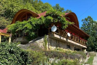 Casă cu 6 camere cu Teren 17000 Mp în Dumbrăvița - 18