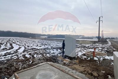 Teren de 6210 mp, în Ciolpani - 7