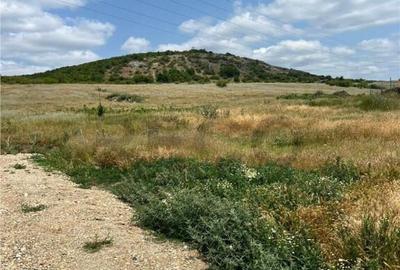 RECO teren de in zona Betfia - 3