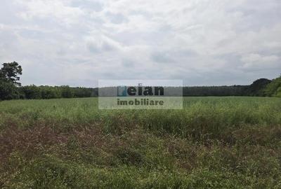 Teren Construcții intravilan de 700 mp, în Piscu - 1