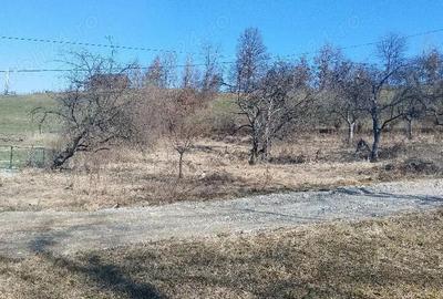Teren de 1600 mp, în Vișeu de Mijloc - 3