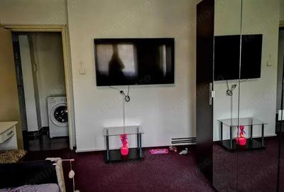 Garsonieră decomandată în Tudor - 2