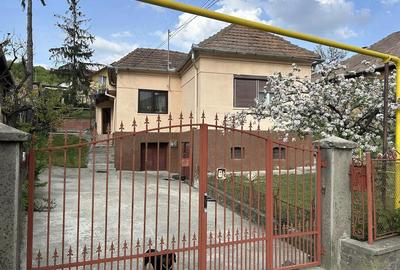 Casă cu 5 camere cu Teren 7000 Mp în Central