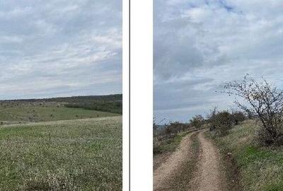 Teren extravilan Perieni, cota parte 6/16 , ID: R2822105 - 1