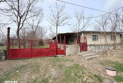 Casă cu 4 camere cu Teren 3747 Mp în Pantelimon - 12
