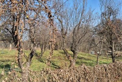 Somcuta Mare, central, 10 ari teren - 3