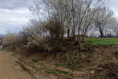 Teren in zona pitoreasca , usor accesibila , cu utilitati si panorama deosebita - 10