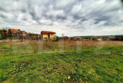 Teren intravilan 1000mp,cu Puz aprobat prin HCL,in Borhanci - 3