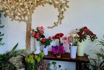 Birouri Victoriei 500 mp - 5