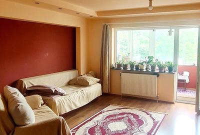 Apartament 2 camere de vanzare Lacul Tei Apartament 2 camere de vanzare Lacul Tei - 8