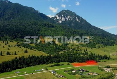 Teren intravilan Zarnesti Plaiul Foii - 3