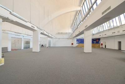 0% comision! Inchiriere birouri Domenii, 663 - 1643 mp - 5