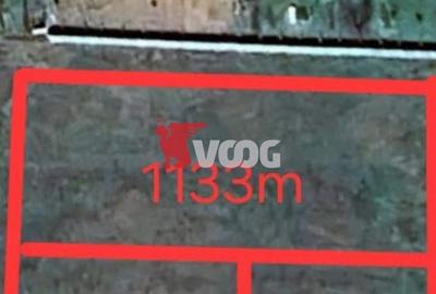 Teren Construcții de 1133 mp, în Șag - 1