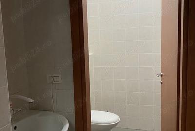 Spatiu comercial (zona Torontalului) - 3