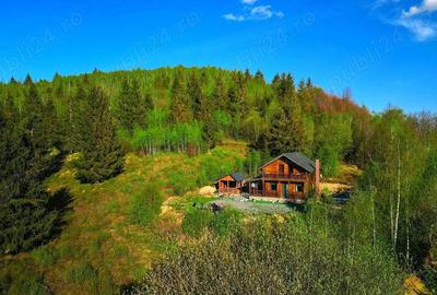 Cabana de vanzare o oaza de liniste in Muntii Apuseni Valea Ierii - 9