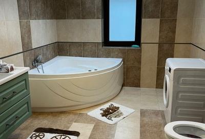 Apartament cu 2 camere semidecomandat în Dumbrăvița - 3