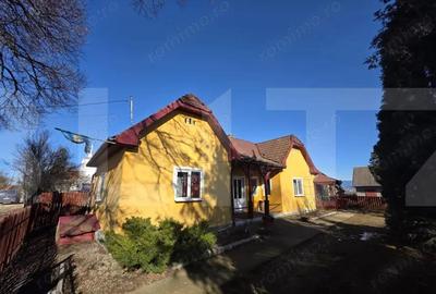 Casă cu 3 camere cu Teren 4669 Mp în Leț - 16