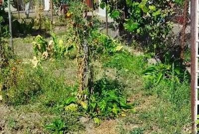 Casă cu 3 camere în Central - 5