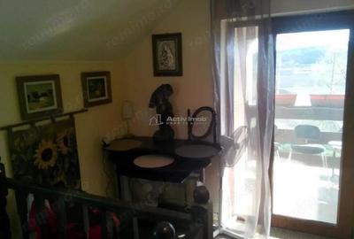 Casa pe malul lacului Paleu teren 510 mp - priveliste deosebita - 10