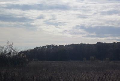 Teren Construcții intravilan de 430 mp, în Domnești - 10