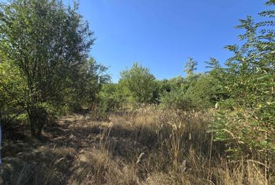 Spațiu comercial, în Ciolpani - 8